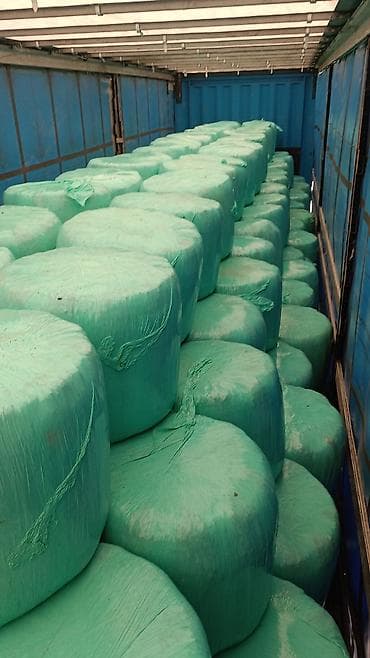 кукуруза цена бишкек: Силос в бабинах с погрузкой — 3