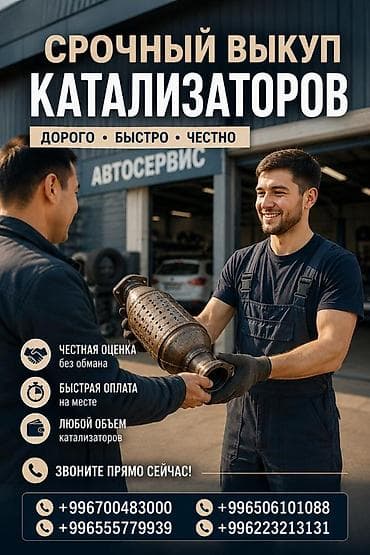 ariston kg: Срочный выкуп катализаторов - Дорого, быстро, честно - Честная оценка — 1