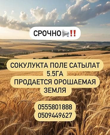 Земельные участки: 550 соток, Для сельского хозяйства — 1