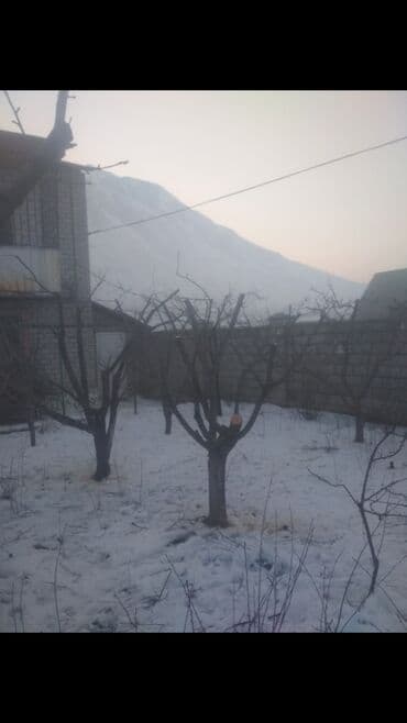 мини леса: Обрезка Плодовых 
Обрезка Хвойных
Делаем Качественно
+Обработка — 8