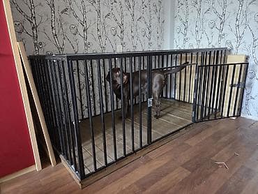 умные собаки: Вольер/клетка для собаки (домашний, напольный) Размер: ширина — 1 м — 4