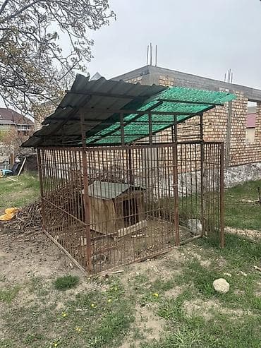 охрана женщинам: Навес, Двускатный, Металл, Профнастил — 1