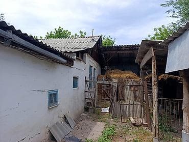 Земельные участки: 12 соток, Красная книга — 4