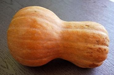 Продаю тыкву