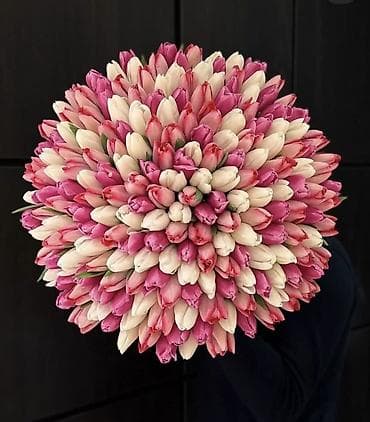 оптом тюлпаны: Тюльпаны оптом от производителя. - Разнообразие цветов: красные — 2