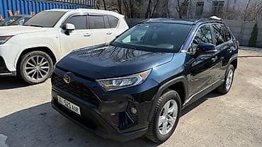 e2 byd: Toyota RAV4: 2019 г. — 8