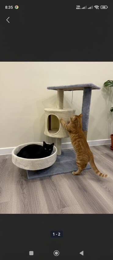 дом кошка: Игровой комплекс для кошек с когтеточкой, состояние как новое. - — 1