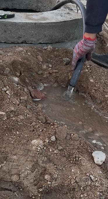 барачные дома: 6 соток, Для бизнеса, Красная книга — 4