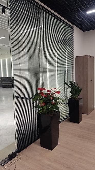 dewalt d2095: Горизонтальные жалюзи на окна - Тип: классические горизонтальные — 8