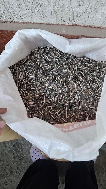 место для овощей: Семечки подсолнечника, неочищенные, для посева - Крупные полосатые — 1