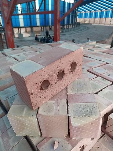 скупка цветов: Пустотелый, дырчатый, Жженый кирпич, Одинарный, 250×120×65 — 7