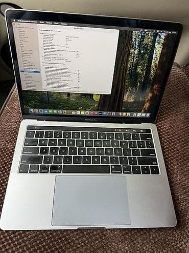 samsung 25s: Apple MacBook Pro 13" (идентификатор модели: MacBookPro15,2) — 2