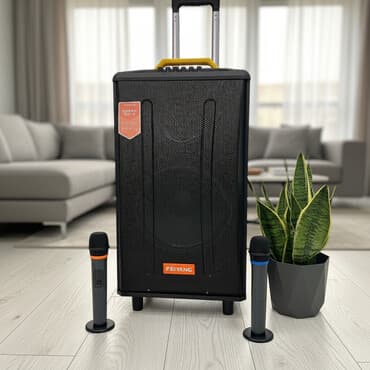 домашний караоке: Сдается в Аренду!!!!калонка (Не продается) Портативная акустическая — 1