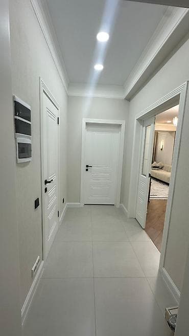 2 комнаты, 50 м², Элитка, 9 этаж, Евроремонт — 5