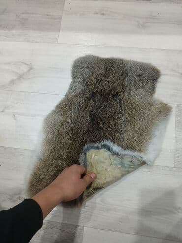 купить инкубационное яйцо с доставкой в регионы: Продаю | Кролик самец | Фландр | На забой | Племенные — 2