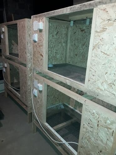 продажа щенков немецкой овчарки с документами в бишкеке: Брудер для цыплят,делаю по заказу — 1