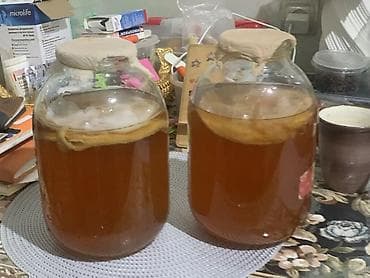 молочный гриб: Домашний комбуча (чайный гриб) в банках 3 л - Напиток натуральной — 3