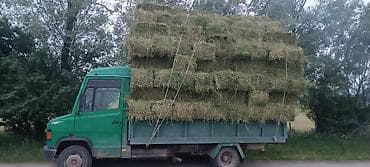 1000 к: Грузовик, Mercedes-Benz, Стандарт, 5 т, Б/у — 6