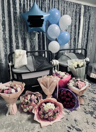 электрический колыбель: Люлька, Б/у, Колыбель, Качалка, Пластик, цвет - Серый, Платная доставка, Самовывоз — 1