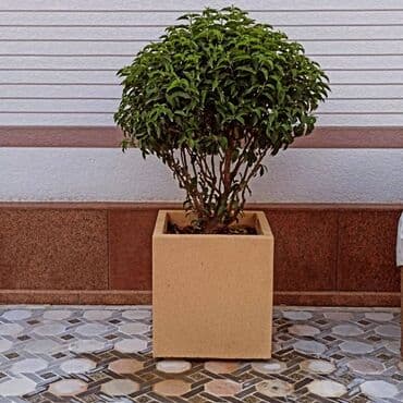 садовые фигуры: Уличные декоративные кашпо большого формата - Материал: архитектурный — 6