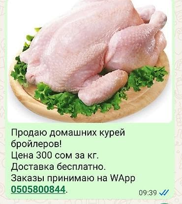 Домашние куры-бройлеры, потрашённые, целые тушки. Подходят для