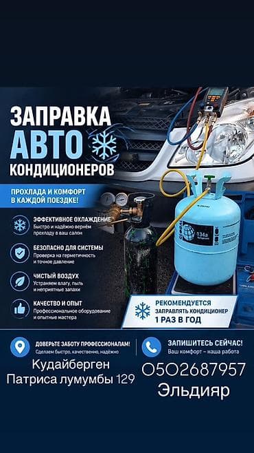 Промывка, чистка систем автомобиля, без выезда