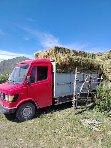 каракол мото: Грузовик, Mercedes-Benz, Стандарт, 3 т, Б/у — 3