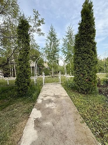 олд бишкек: Продаётся дача рядом с селом Горная Маевка(дачи Норус) площадь участка — 2