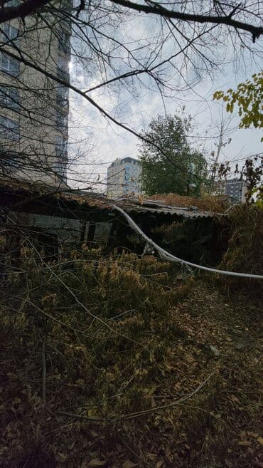 барбол ош работа: Ош шаарында Кольцанын крышкасы кирпич б/у жыгач отунга шифер темир — 9