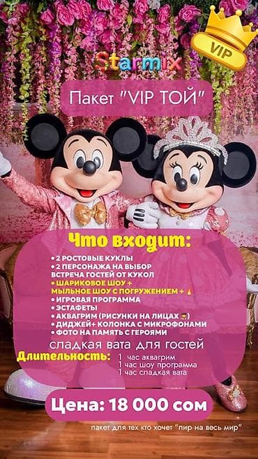 Организация мероприятий: Аниматоры Starmix— яркие детские программы для любого мероприятия — 3