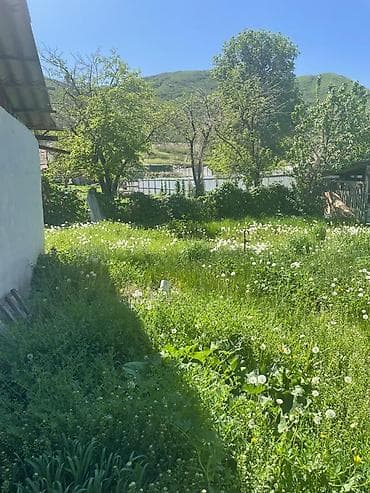 Жер тилкелерин сатуу: 8 соток, Кызыл китеп — 10