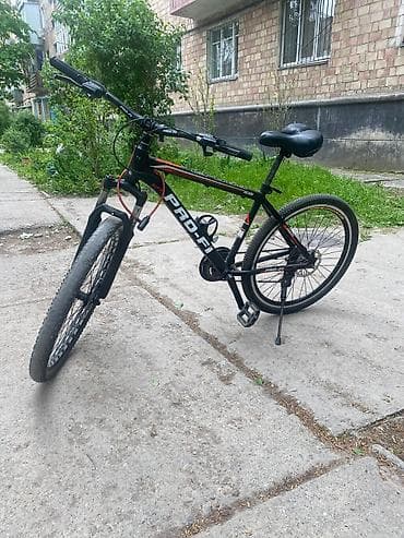 Тоо велосипеди, Болот