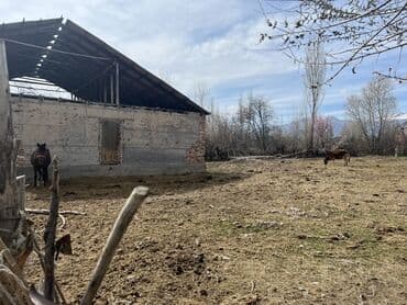 дом чон арыке: Времянка, 80 м², 4 комнаты, Собственник, ПСО (под самоотделку) — 4