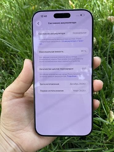 nokia n90: IPhone 16 Pro Max, 256 ГБ, Графит, 91 % — 3
