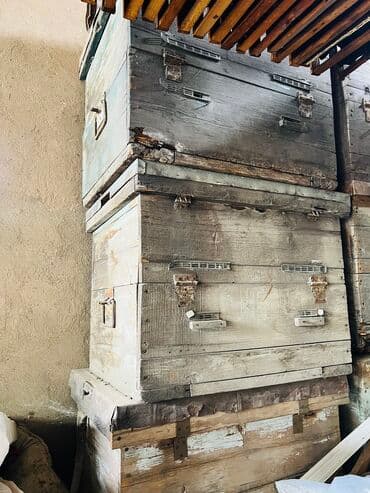 продаю медогонку: Улья двух корпусные рута на 32 рамки. каждый корпус на 16 рамок — 2