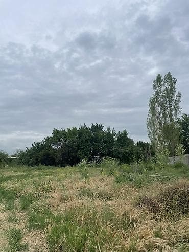 участок в арчалы: 10 соток, Для строительства, Красная книга — 2