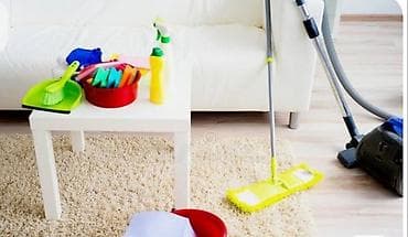 услуги няни: Уборка помещений, | Генеральная уборка, | Квартиры — 1