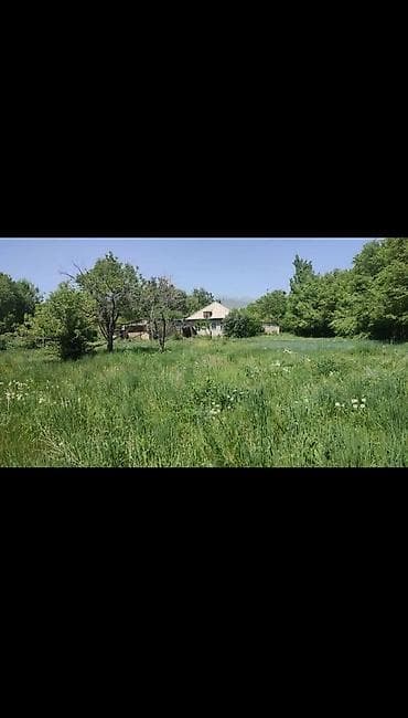 ак бата ж м: 18 соток, Курулуш, Кызыл китеп — 6