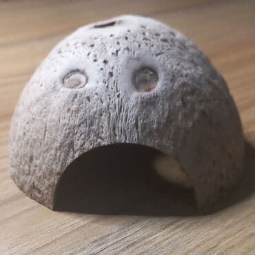 в связи с переездом отдам попугая жако в добрые руки: Укрытие из натуральной кокосовой скорлупы для аквариумов или — 1