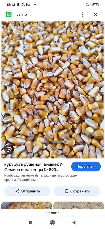 Үй жаныбарлары: Кукуруза рушеная (кукурузное зерно дроблёное). - Фракция — 1