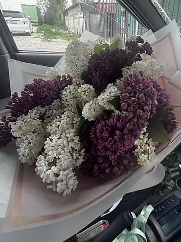 сирени: Букет из сирени - Состав: пышные ветки сирени двух оттенков — — 1