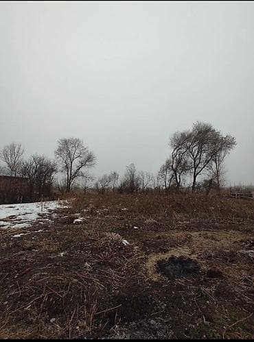 вагон баткен: 5 соток, Курулуш, Кызыл китеп — 3