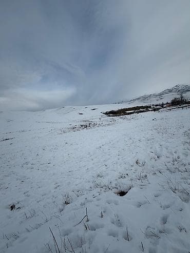 Недвижимость: 15 соток, Для строительства, Красная книга — 3