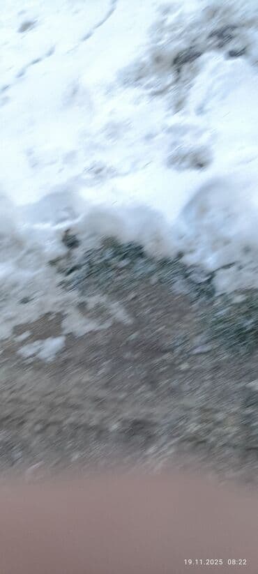 контрактный двигатель из японии бишкек: Mercedes-Benz T1: 1991 г., 2.9 л, Механика, Дизель, Бус — 8