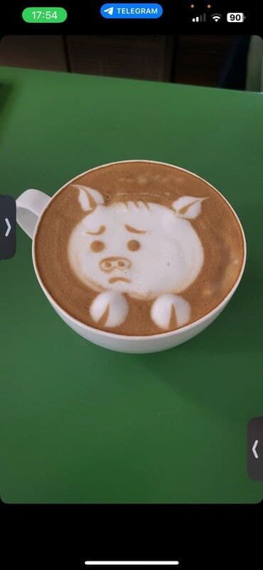 суши мастер: Мирбек Бариста Контакты: · Телефон: · Местоположение: Бишкек (ищу — 6