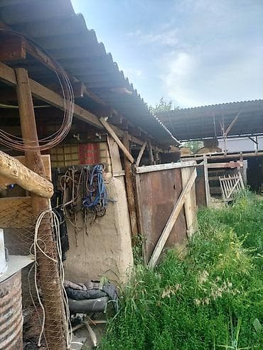 каркасные дома: Продаётся полдома. участок: 9,38 сотых. г.Бишкек — 3