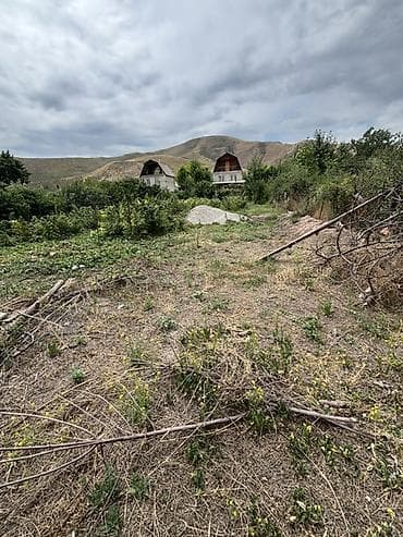 Жер тилкелери: 5 соток, Кызыл китеп — 6