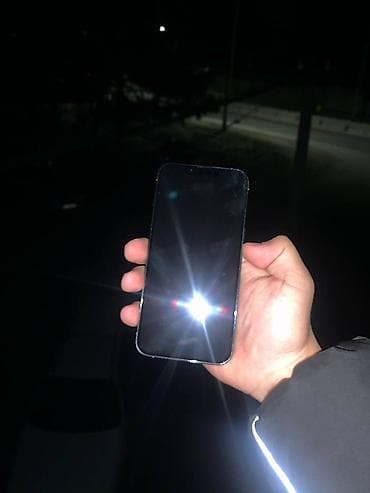 samsung 21: IPhone 13 Pro, Серебристый — 4