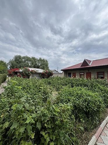 Комнаты: Гостевой Дом ‘’ПАРУС’’ Адрес город Балыкчы Городской пляж (Старый — 6
