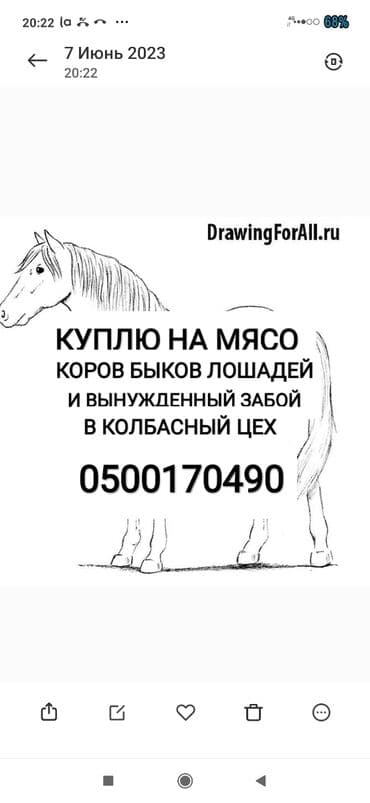 цены породистых собак: Куплю | Коровы, быки, Лошади, кони, Другие с/х животные | Круглосуточно, Любое состояние, Забитый — 1